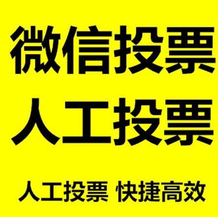 庆阳市微信刷票怎么投票