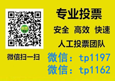 庆阳市微信手动投票费多少钱让我告诉你微信投了多少